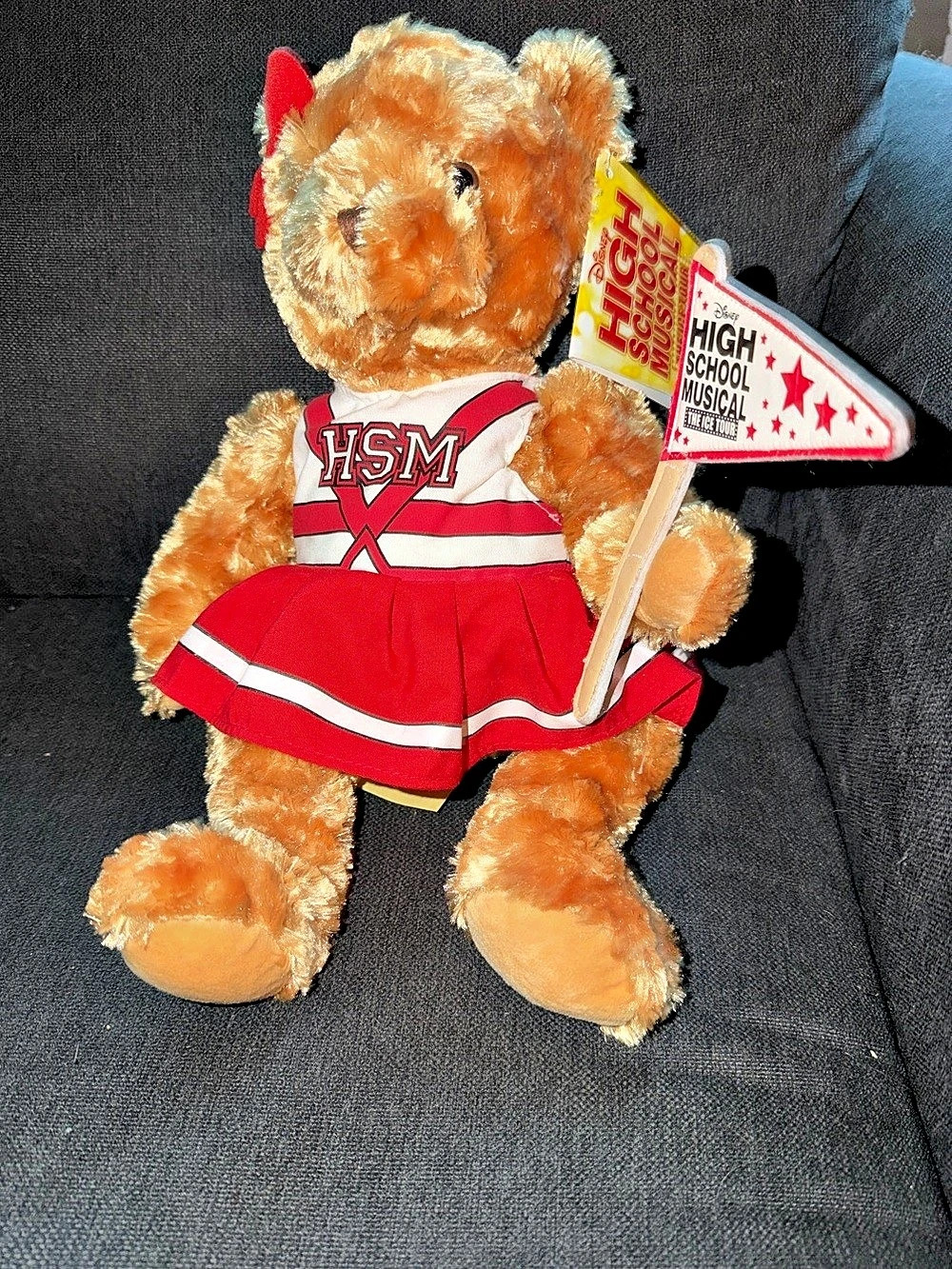 Disney High School Musical The Ice Tour Official Cheerleader Bear Plush Collecta
